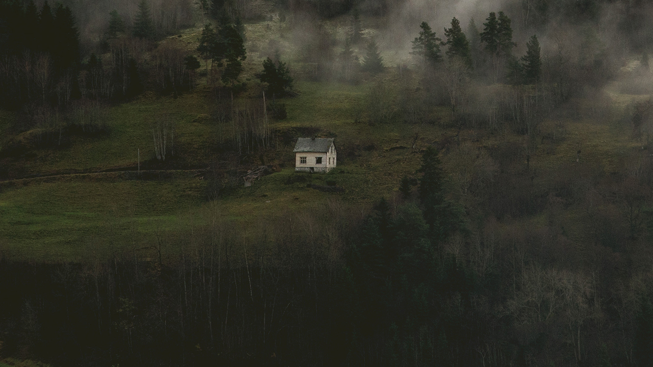 Midgard Film Commission Norway | forrest | darkness | nature |